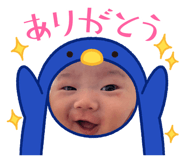 856316136