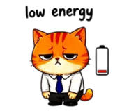 856316834