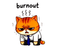 856316835