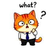 856316838