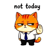 856316846