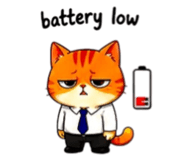856316849