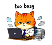 856316852