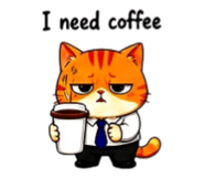 856316856
