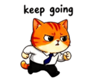856316857