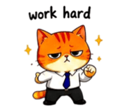 856316862