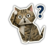 856317034