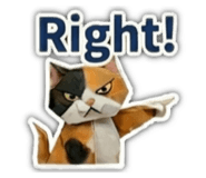 856317039