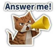 856317042