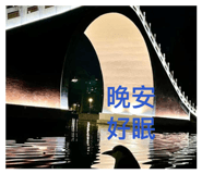 856317100