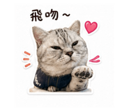 856318068