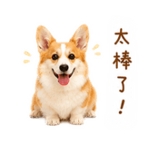 856318144