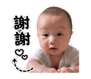 856319057