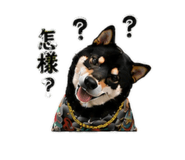 856319139