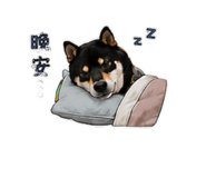 856319150