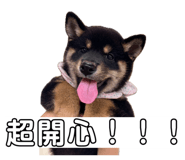 856320149
