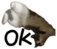 856320457