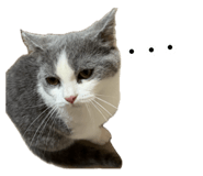 856320460