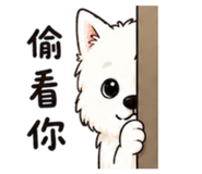 856320680