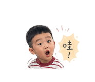 856320739