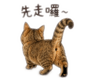 856321432