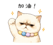 856321506