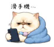 856321507