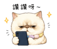 856321532