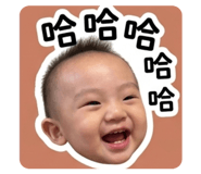 856326530