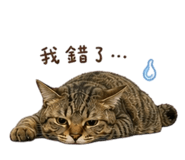 856326900