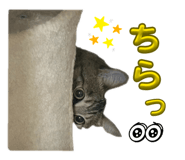 856327418