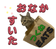 856327420