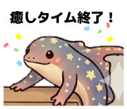 856327495