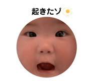 856327556