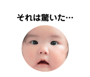 856327558