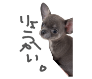856327786