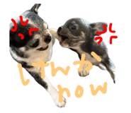 856327791