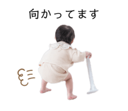 856327833