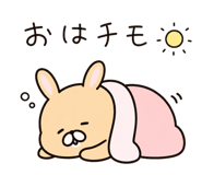 856327905