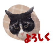 856327993