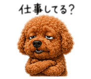 856328248