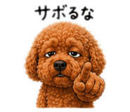 856328249