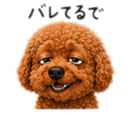 856328260