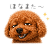 856328271