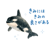856328448