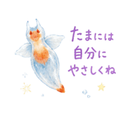 856328455