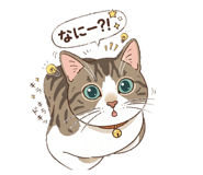 856328534