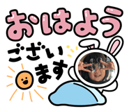 856328790