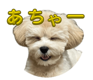 856328941