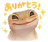 856329561